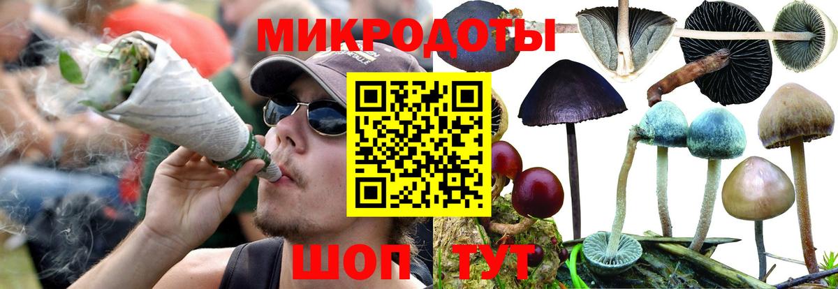 Псилоцибиновые грибы Psilocybine cubensis  Галлюциногенные грибы Psilocybine cubensis  Медногорск  Вход с VPN 