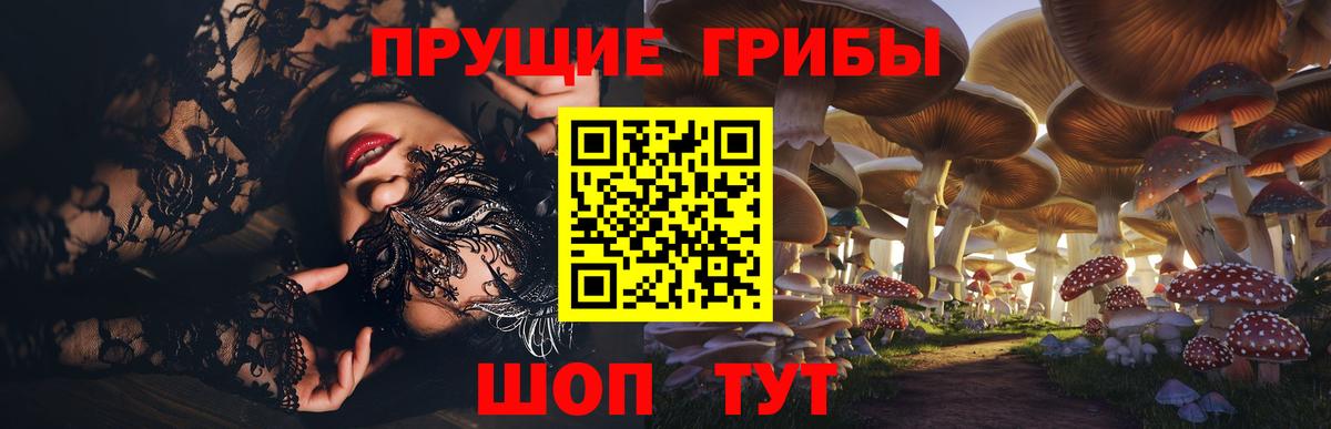 Галлюциногенные грибы GOLDEN TEACHER Медногорск
